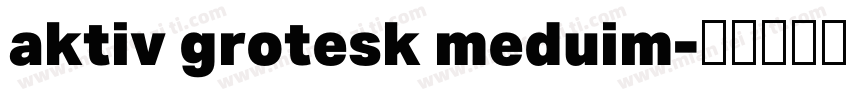 aktiv grotesk meduim字体转换